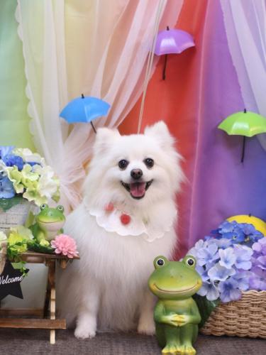 20230614ゆずちゃん